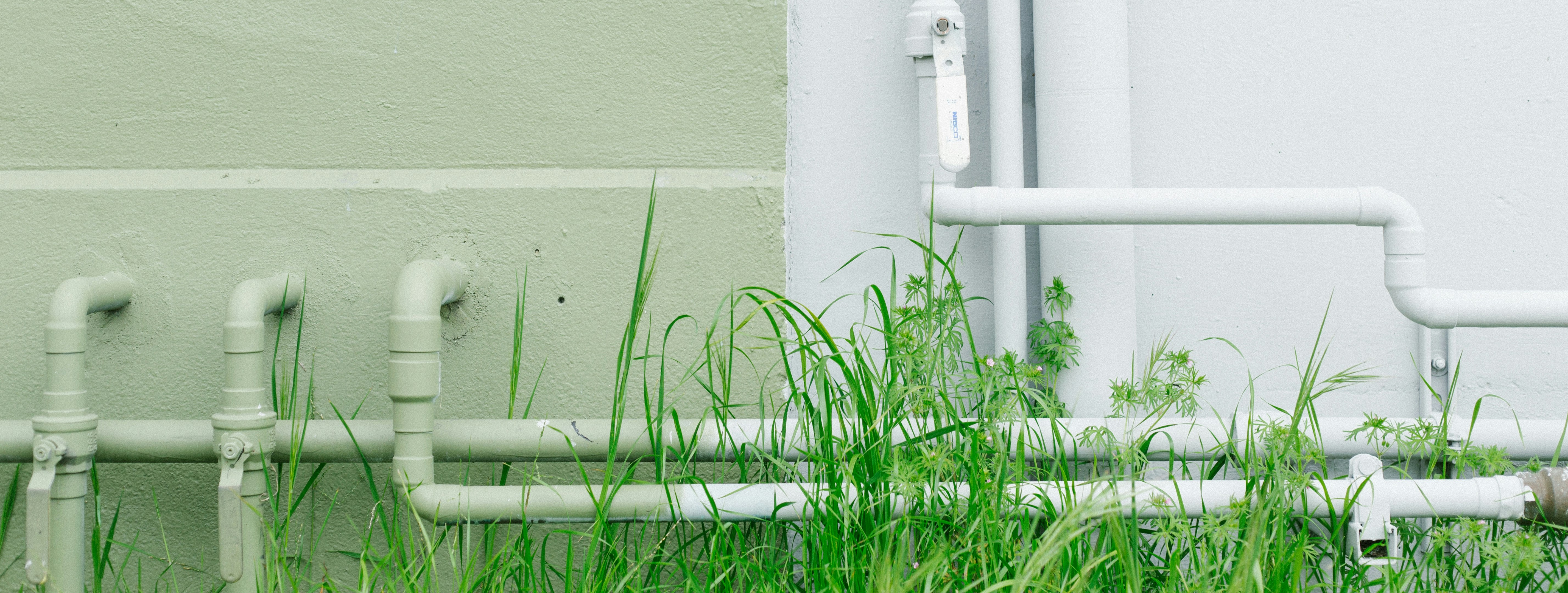 Picture depicting white painted water pipes on a concrete wall with grass in the foreground.