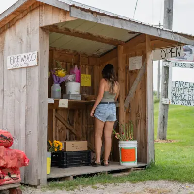 A young girl approaching a open farm stand 